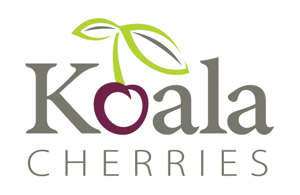 Koala cherries v3