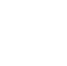 github mark white