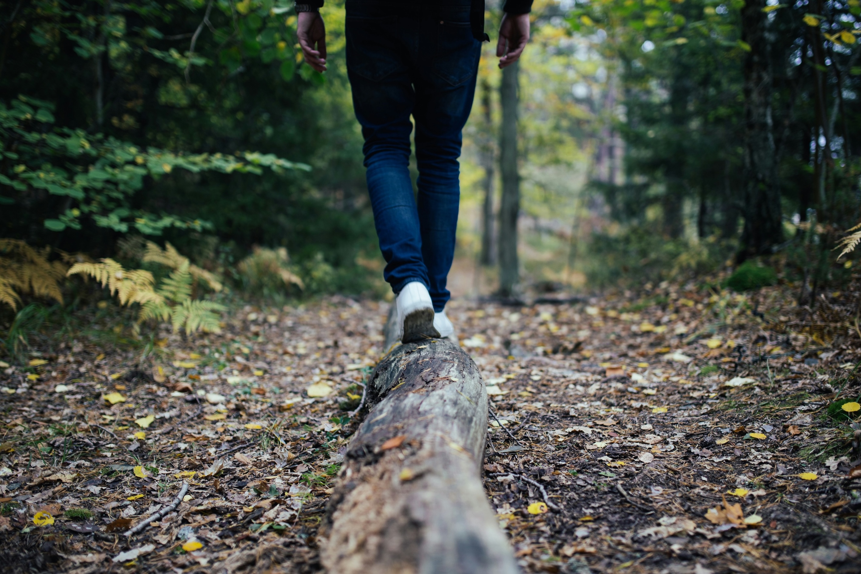 jon flobrant  r19nfvS3wY unsplash